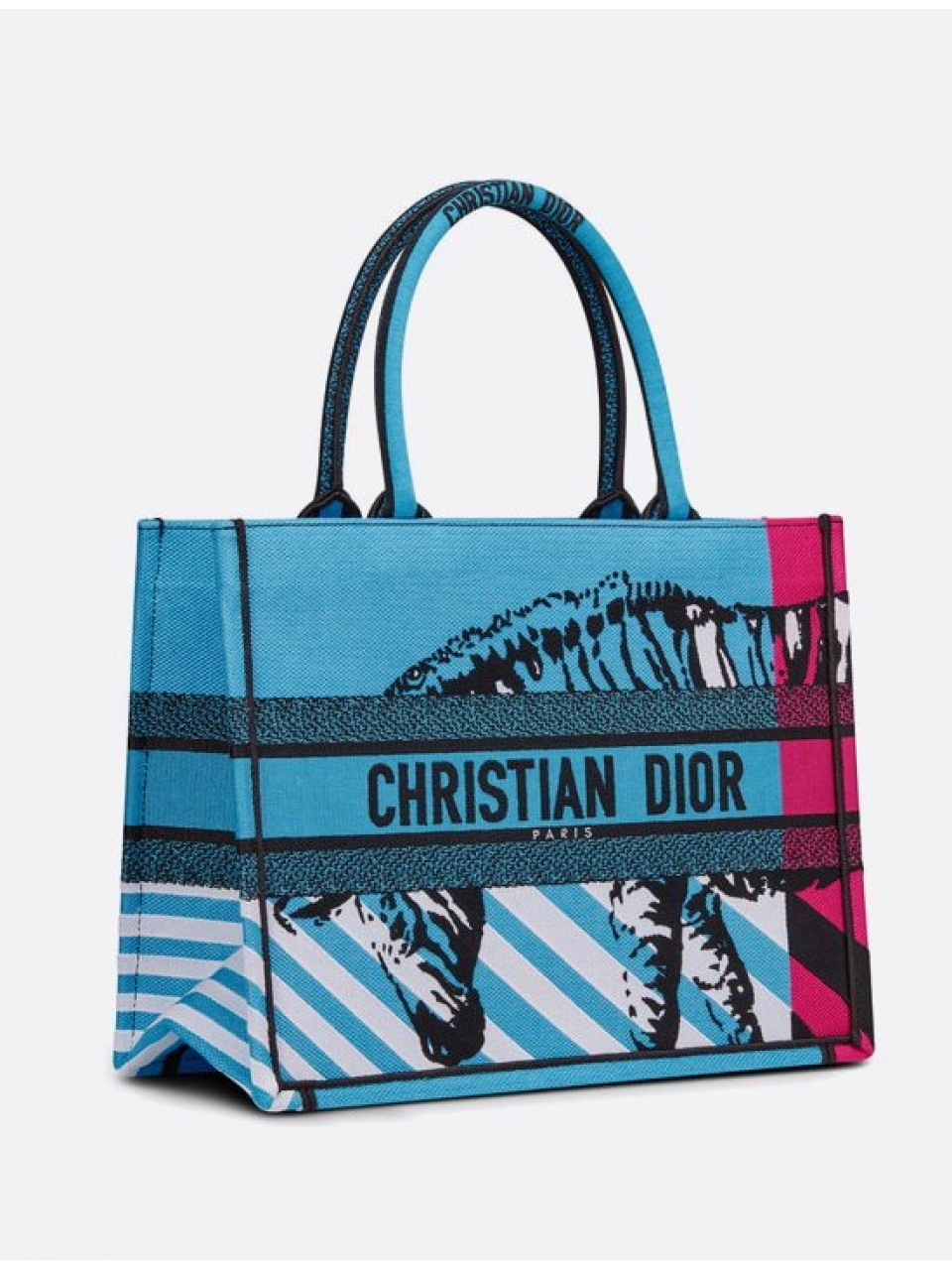 Сумка Christian Dior